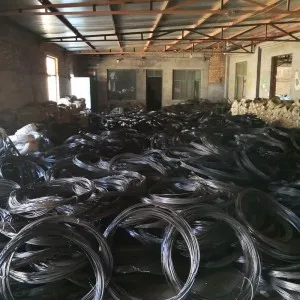electrified barbed wire