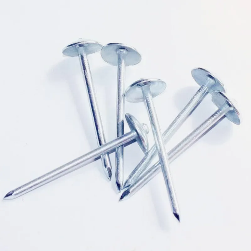 2d common nails