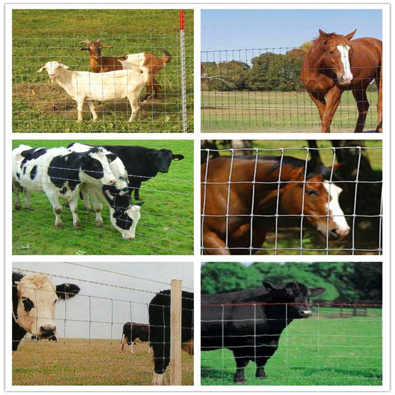 perforated mesh fence