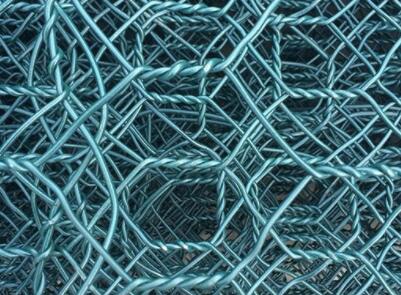 aviary mesh for finches