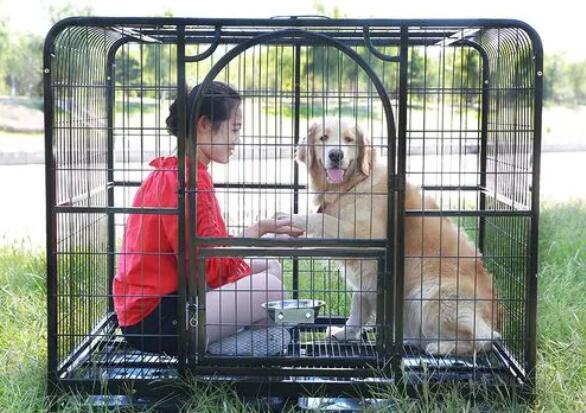 wire dog crate extra large