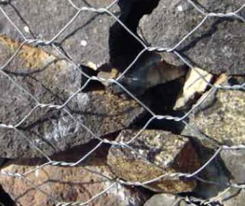 1 4 galvanized wire