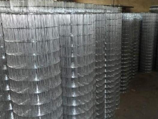 16 mesh screen