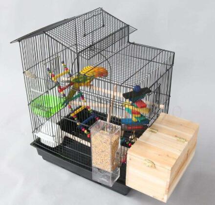medium dog wire crate