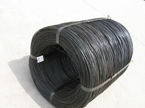 20x20 mesh screen