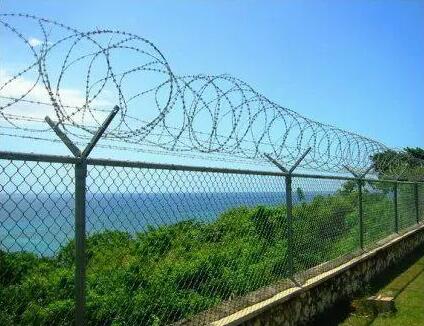 wire trellis