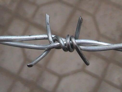 8 bugle head screw