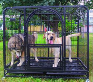 pet proof mesh