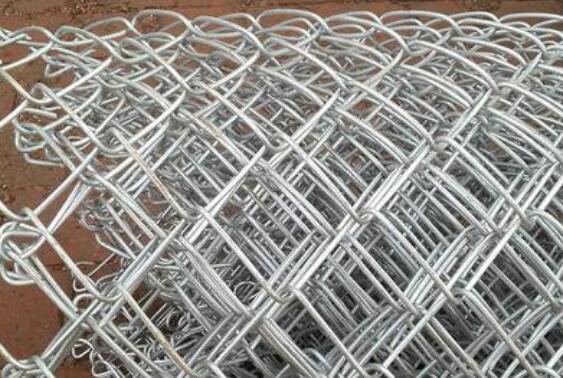 quail layer cages for sale