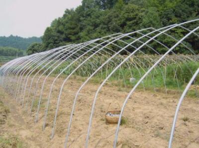 electric razor wire