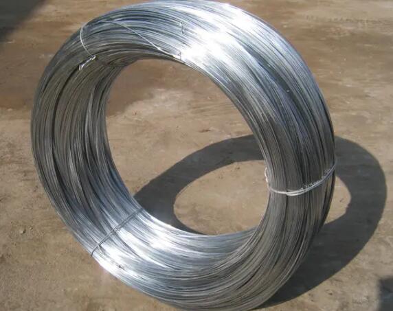 stainless coil nails