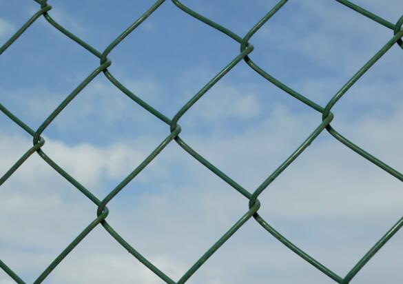 20 mesh screen