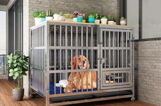 6 foot chain link fence with barbed wire on top